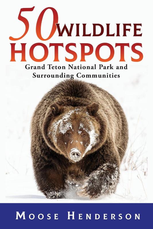 50 Wildlife Hotspots