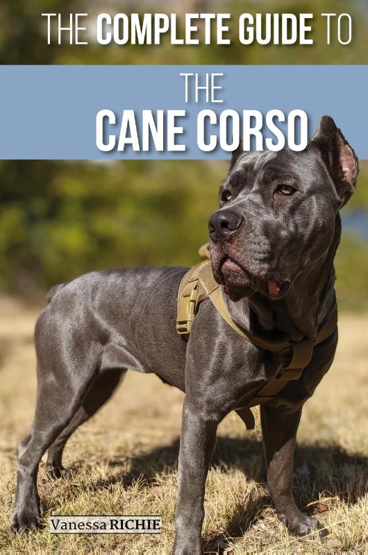 The Complete Guide to the Cane Corso