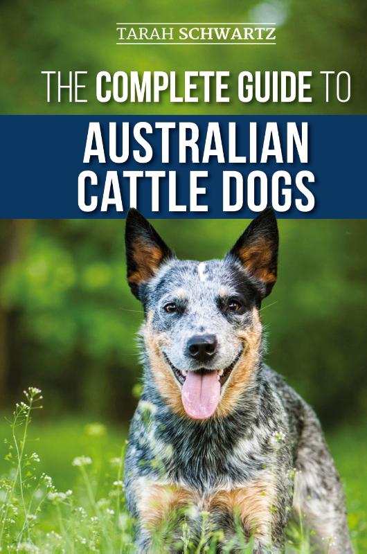 The Complete Guide to Australian Cattle Dogs