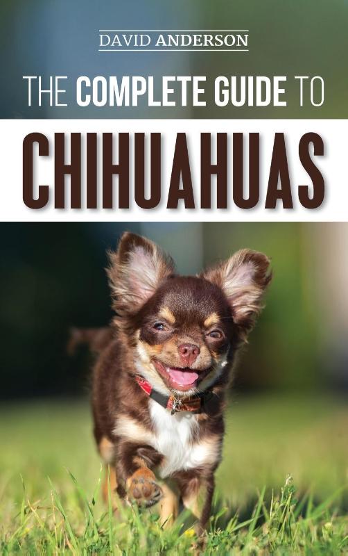 The Complete Guide to Chihuahuas
