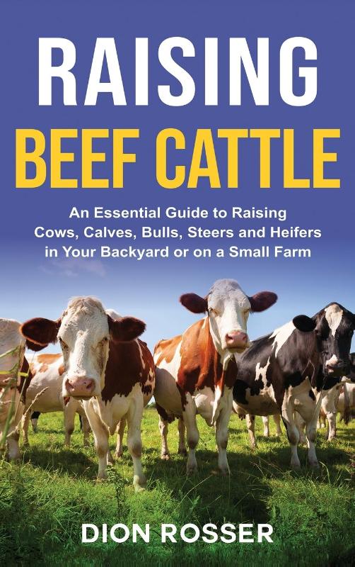 Raising Beef Cattle
