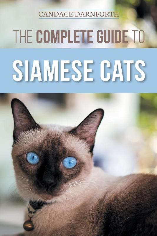 The Complete Guide to Siamese Cats
