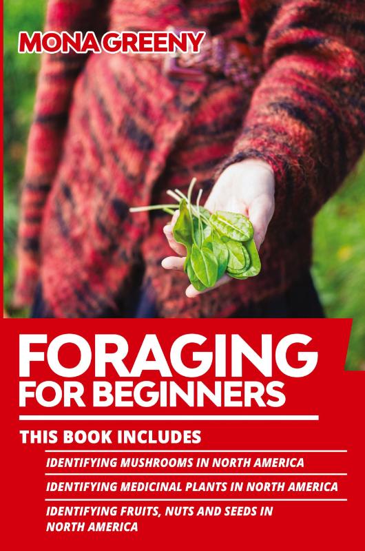 Foraging For Beginners