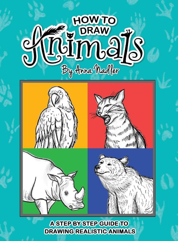How To Draw Animals