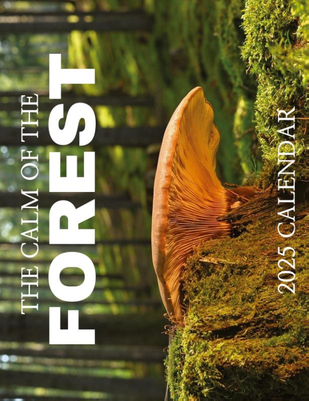 The Calm of the Forest 2025 Calendar