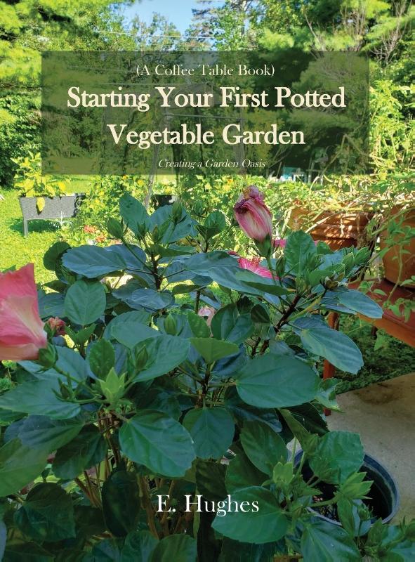 Starting Your First Potted Vegetable Garden