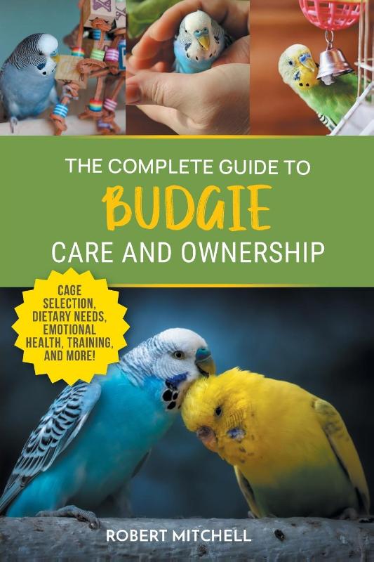 The Complete Guide to Budgie Care and Ownership