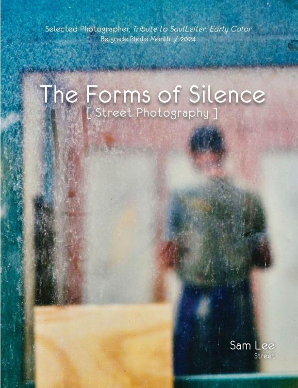 Lee, S: Forms of Silence