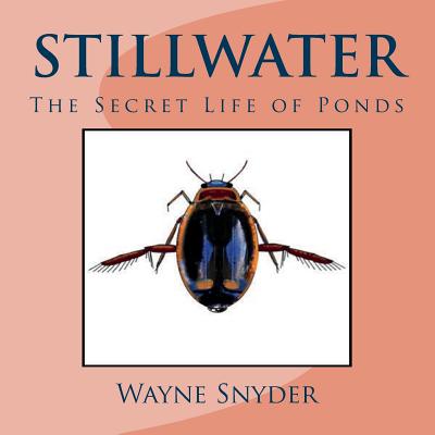 Stillwater: The Secret Life of Ponds