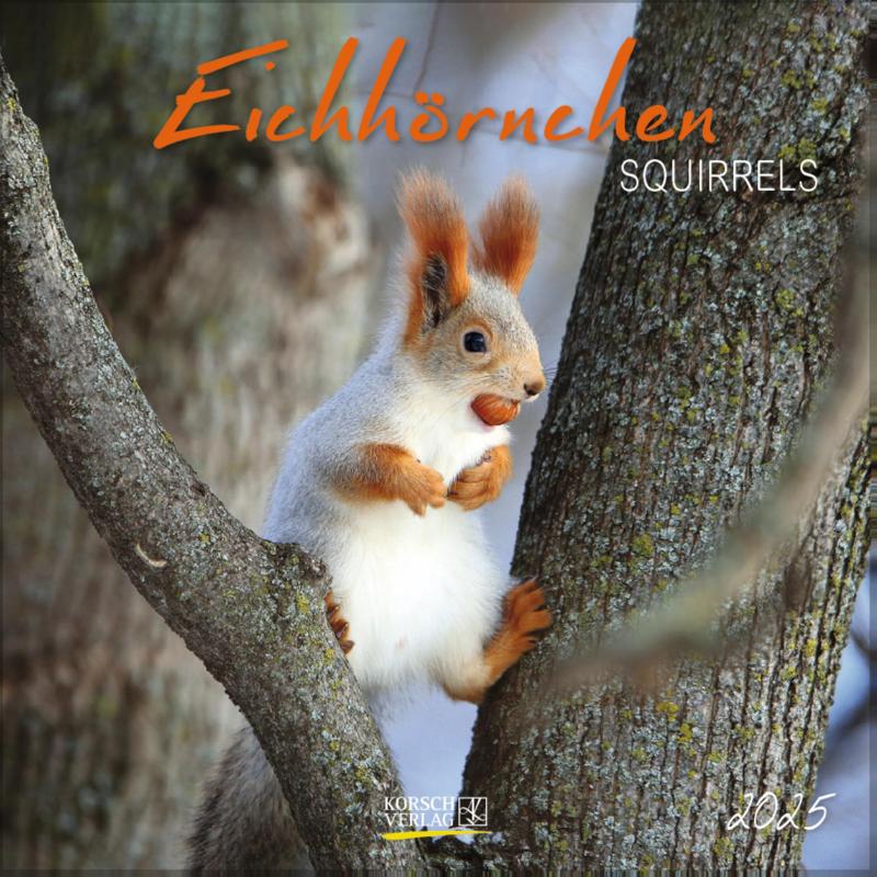 Eichhörnchen 2025
