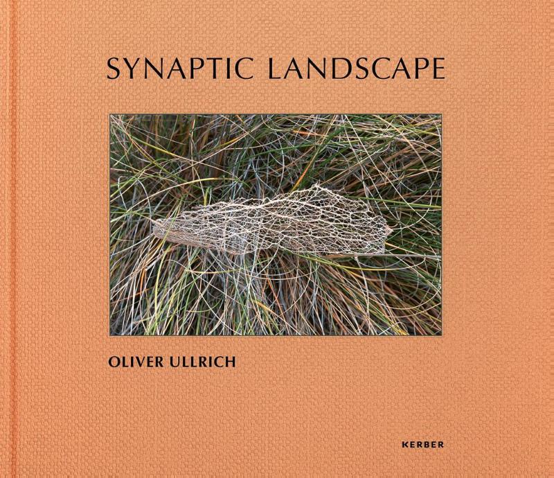 Synaptic Landscape: Oliver Ullrich
