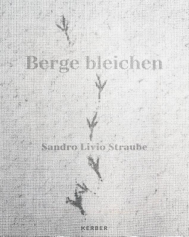 Whitening Heights: Sandro Livio Straube