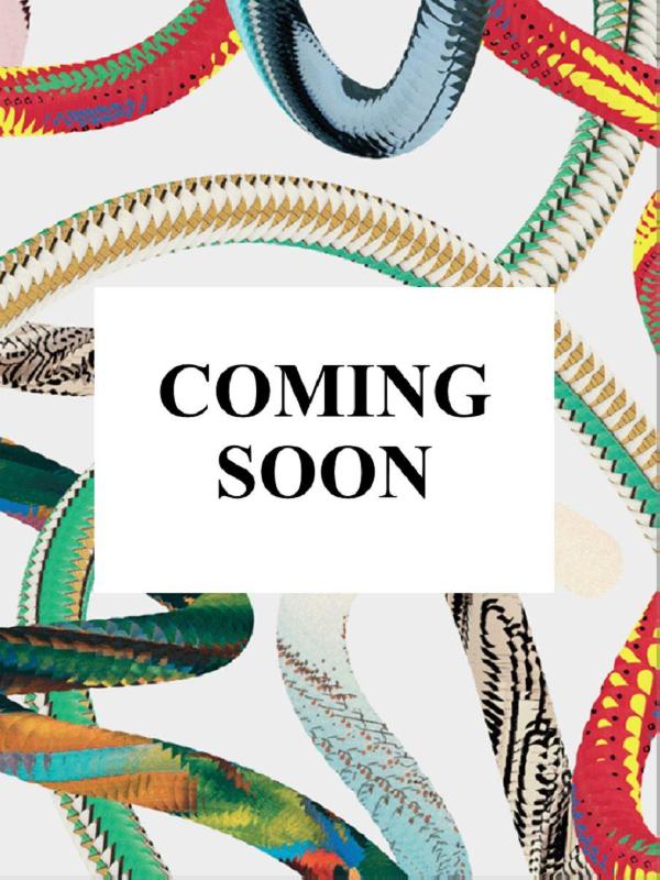 Entryways of Milan. Ingressi di Milano. 45th Ed.