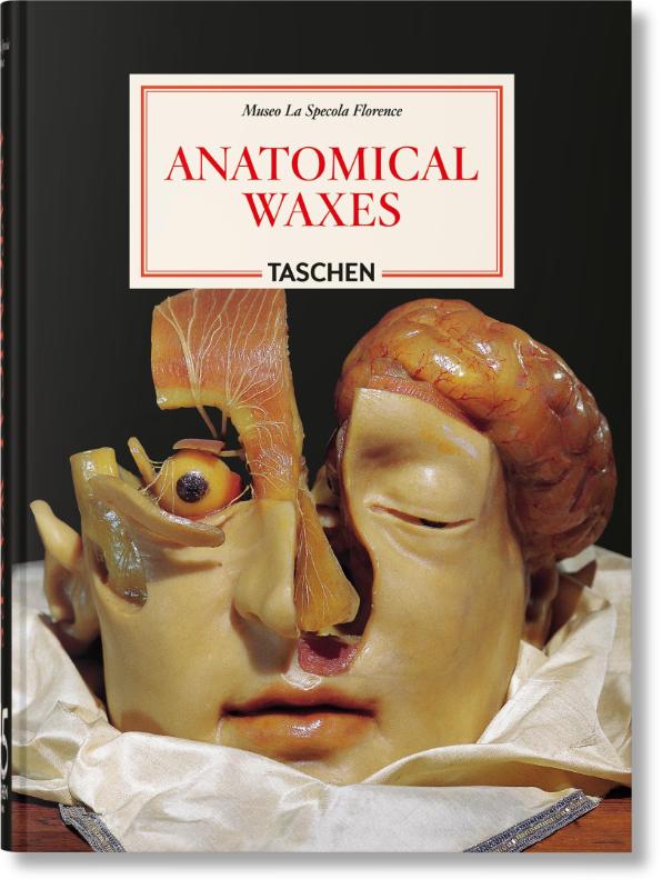 Anatomical Waxes. 45th Ed.