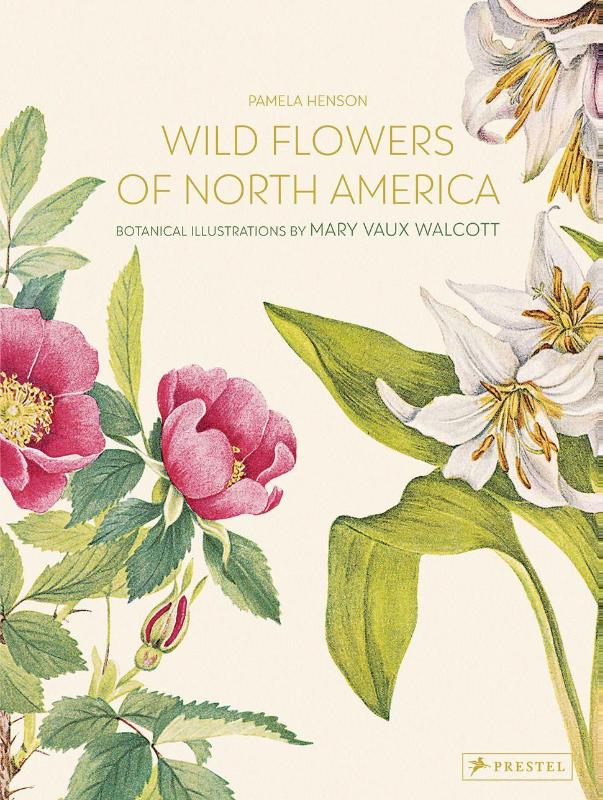Wild Flowers of North America