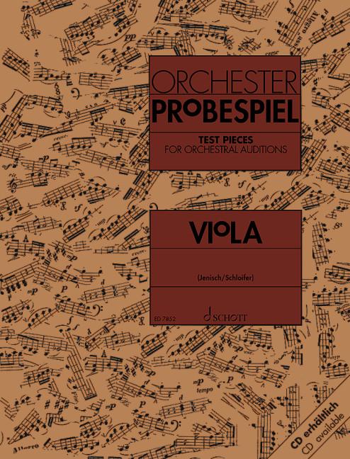 Orchester Probespiel Viola