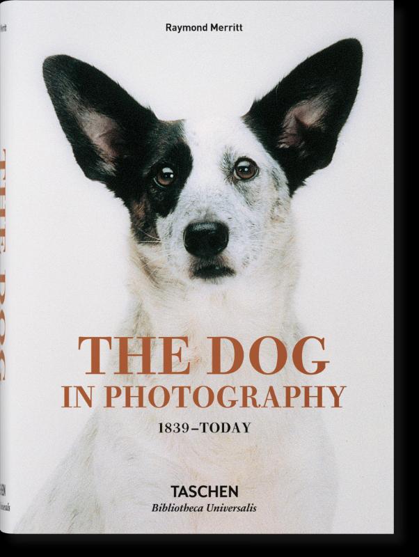 The Dog in Photography 1839–Today