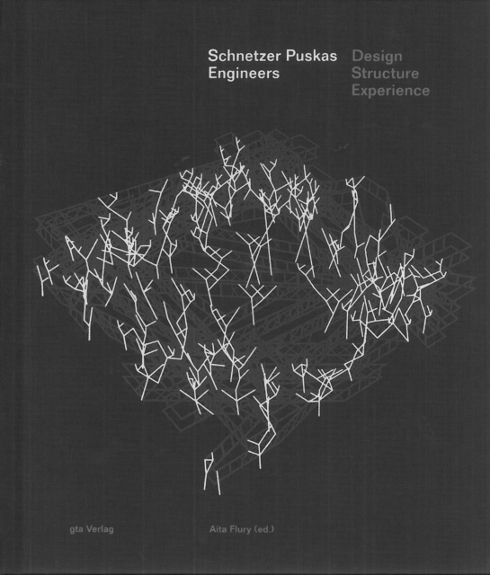 Schnetzer Puskas Engineers – Design Structure Experience