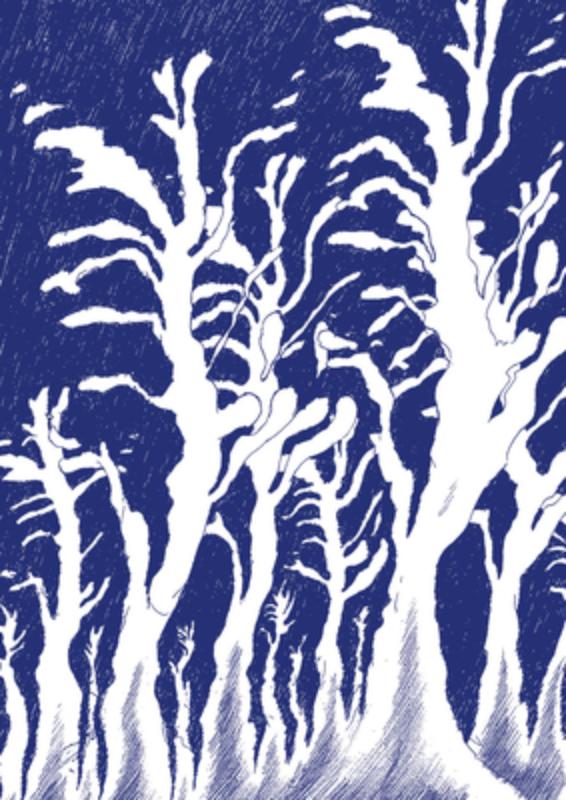 David Weiss: Die Wandlungen