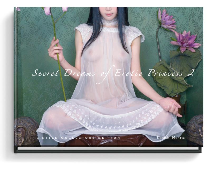 Secret Dreams of Erotic Princess 2