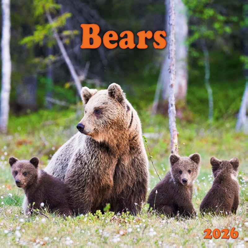 Bears 2026