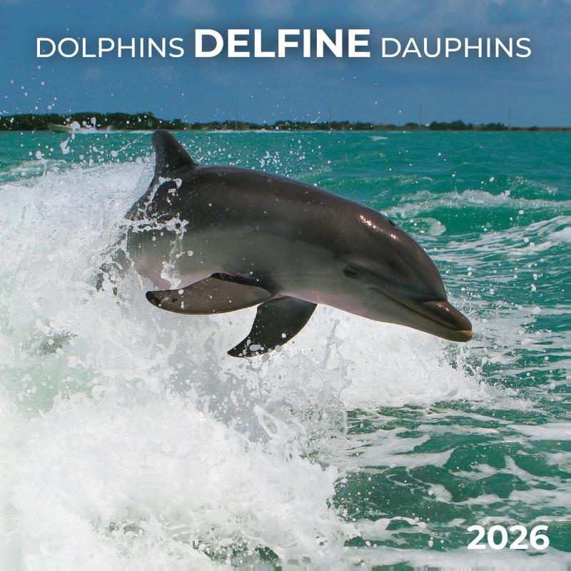 Delfine/Dolphins 2026