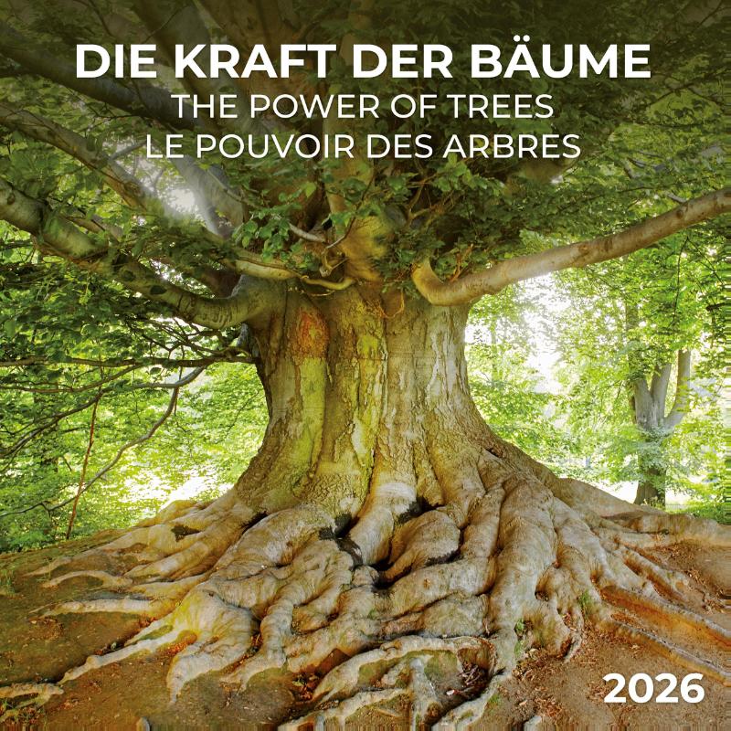 Die Kraft der Bäume 2026