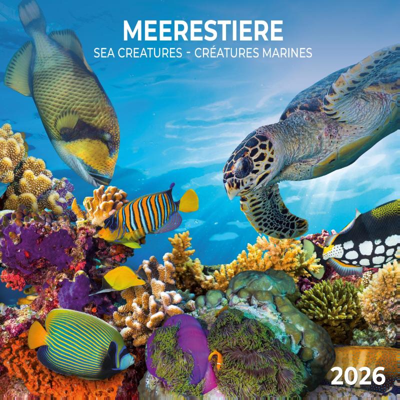 Meerestiere 2026