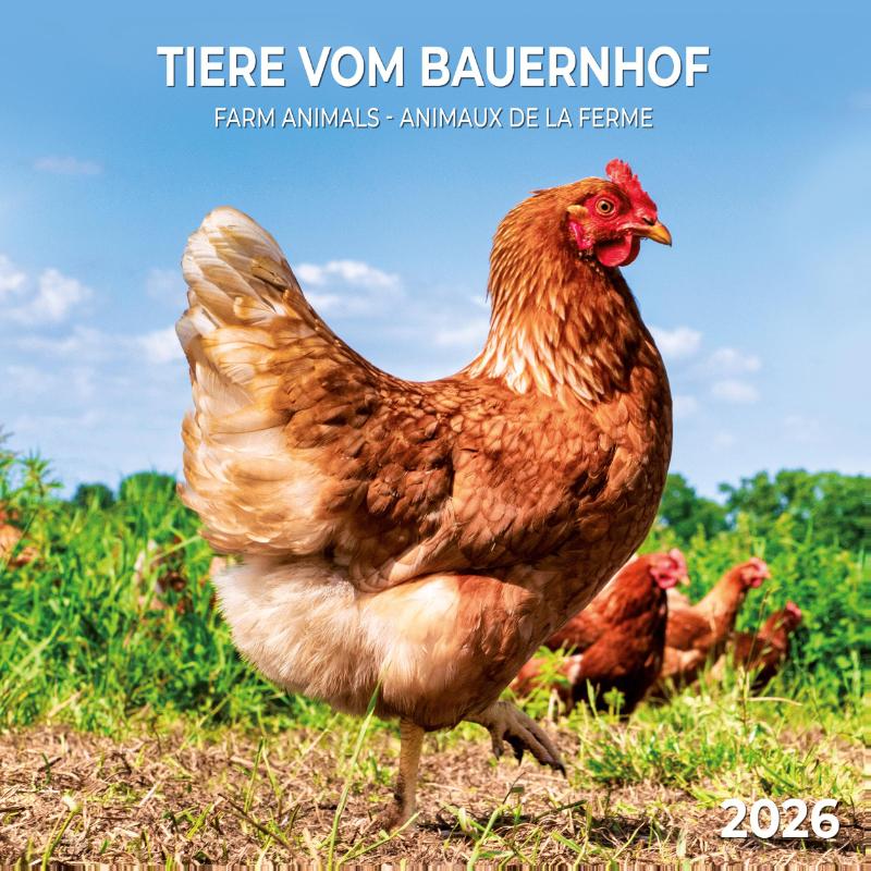 Tiere vom Bauernhof 2026