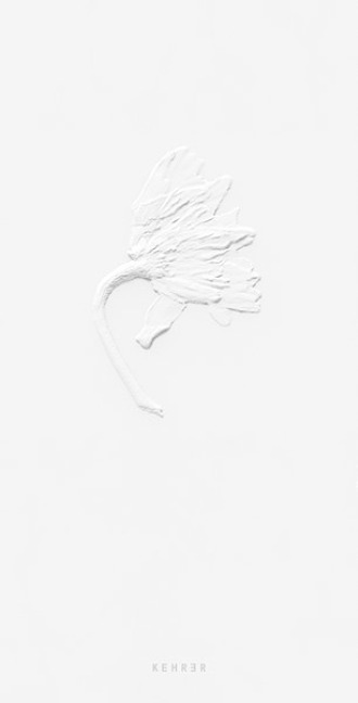 Ephemeral Field Journal