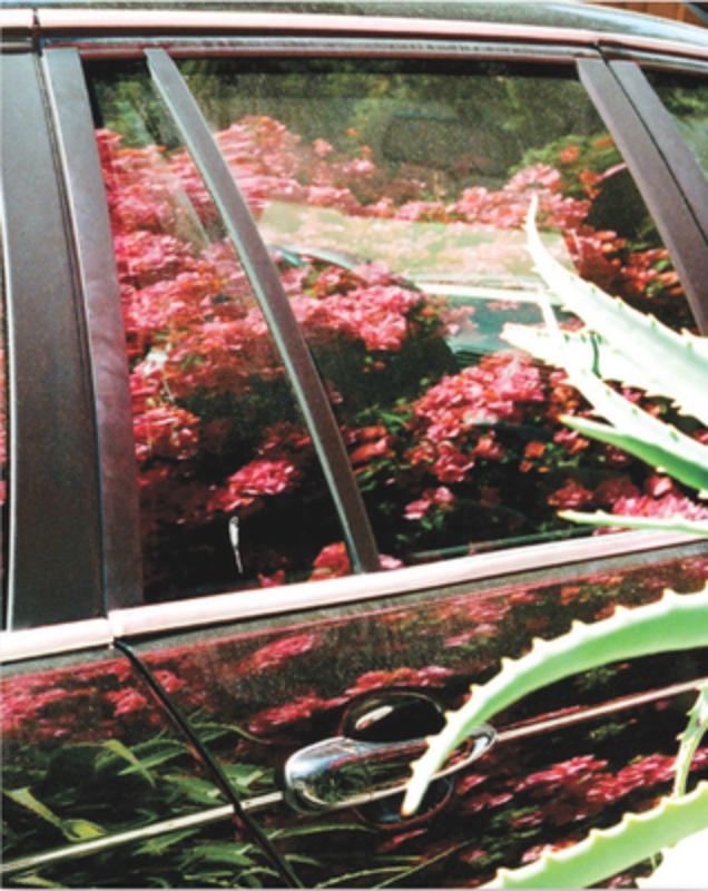 Aaron Stern: Ghost Rider: Los Angeles Photographs