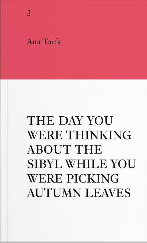 An Insert by Ana Torfs