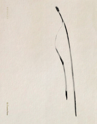 Txema Yeste: Needles