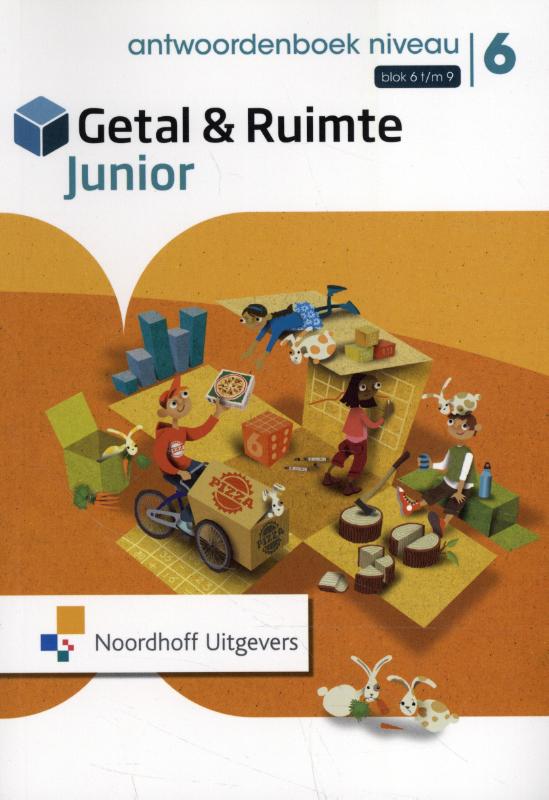 Antwoorden niveau deel 2