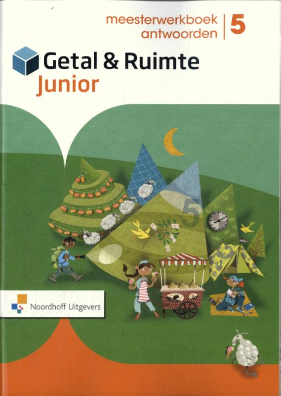 meesterwerkboek antwoorden