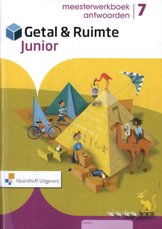 meesterwerkboek antwoorden