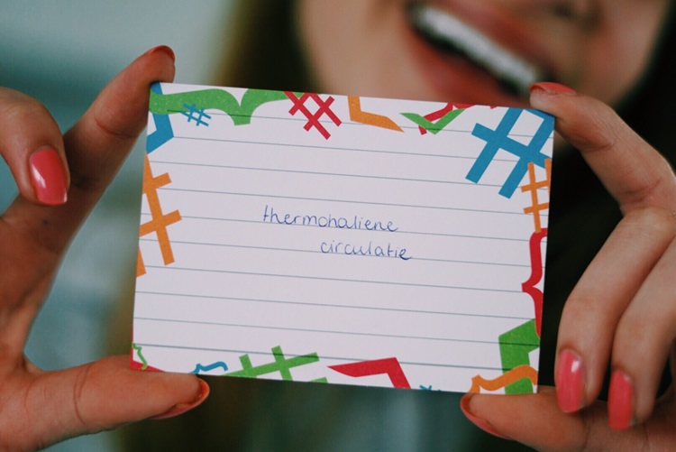 Flashcards Examenbundel