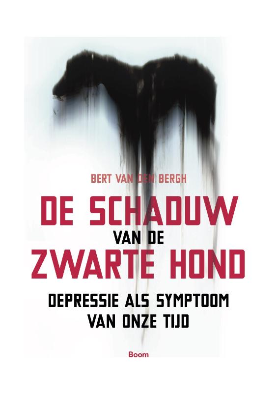 De schaduw van de zwarte hond