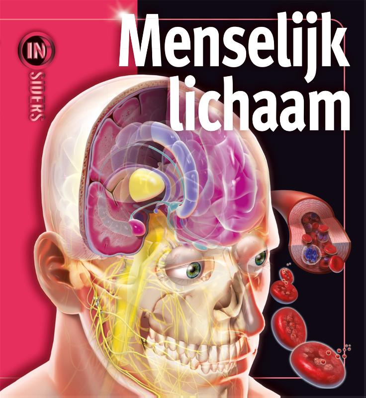 Het menselijk lichaam