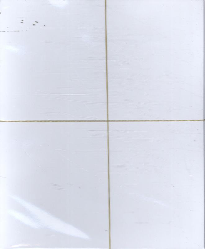 De Basis voor Wereldoriëntatie handleiding 6A