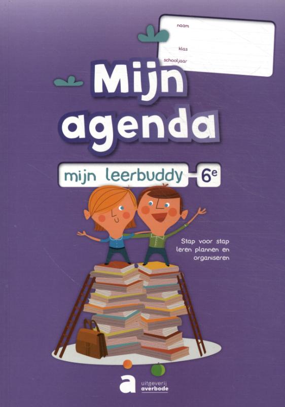 6e leerjaar