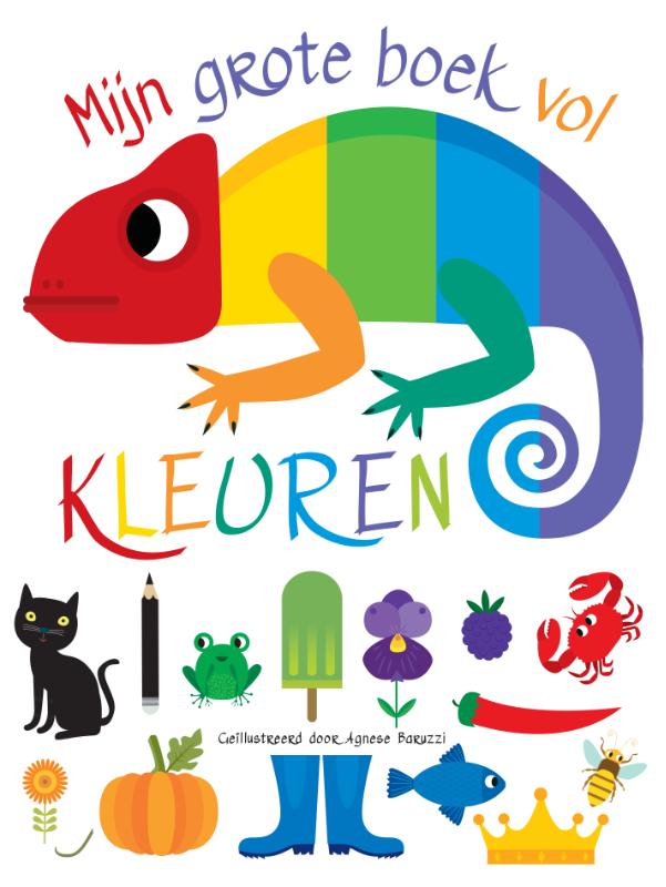 Mijn grote boek vol kleuren