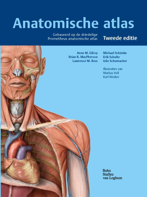 Anatomische atlas