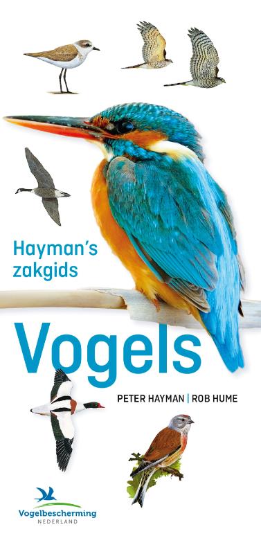 Hayman's zakgids Vogels