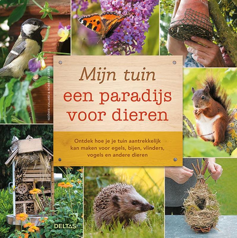 Mijn tuin