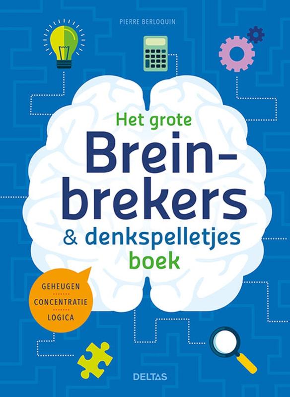 Het grote breinbrekers en denkspelletjes boek