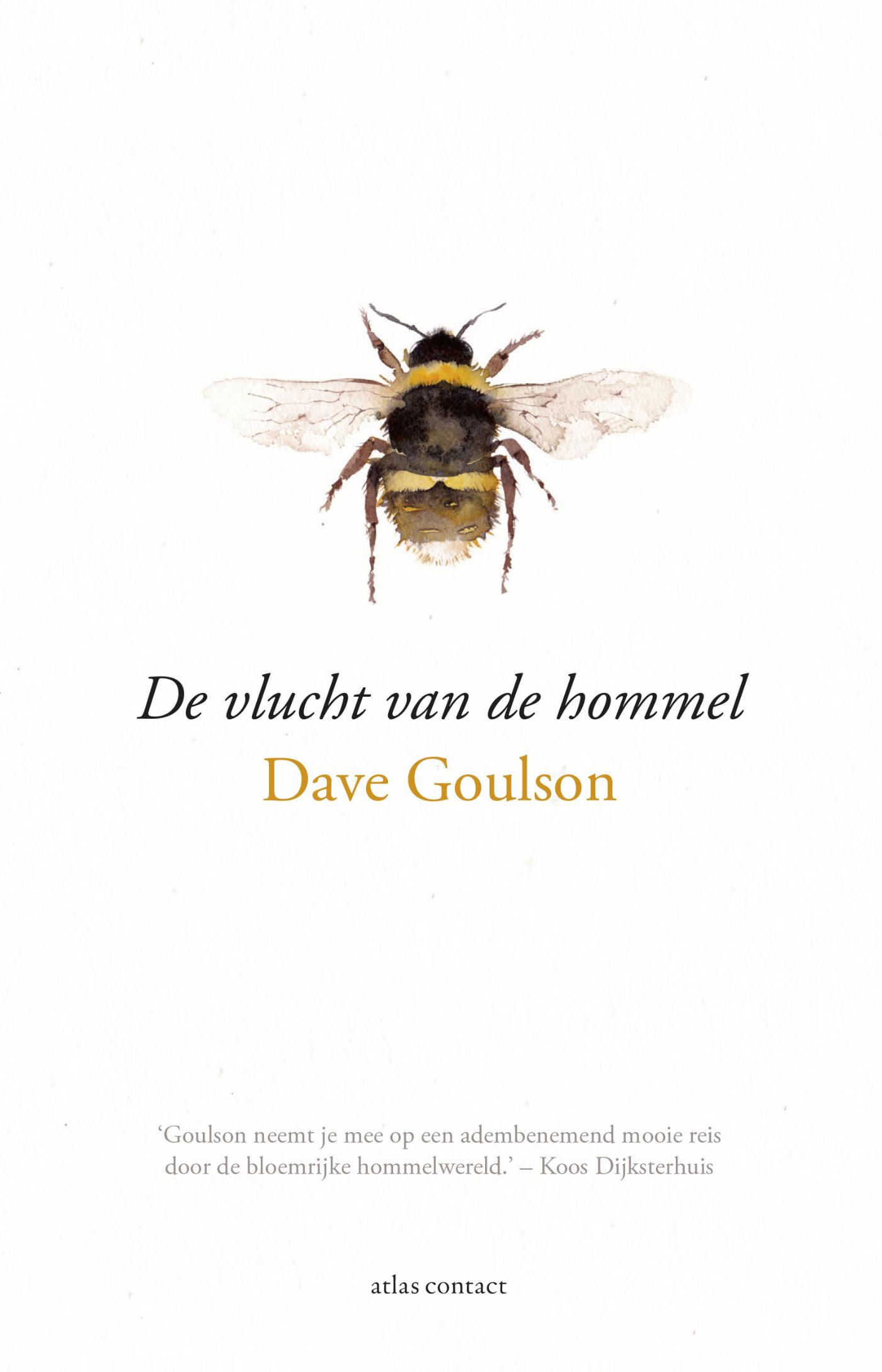 De vlucht van de hommel