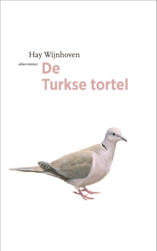 De Turkse tortel