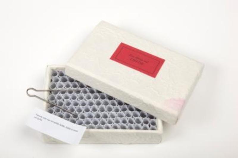 Een doosje vol liefde