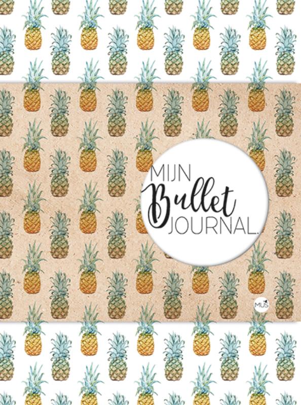 Mijn bullet journal - ananas